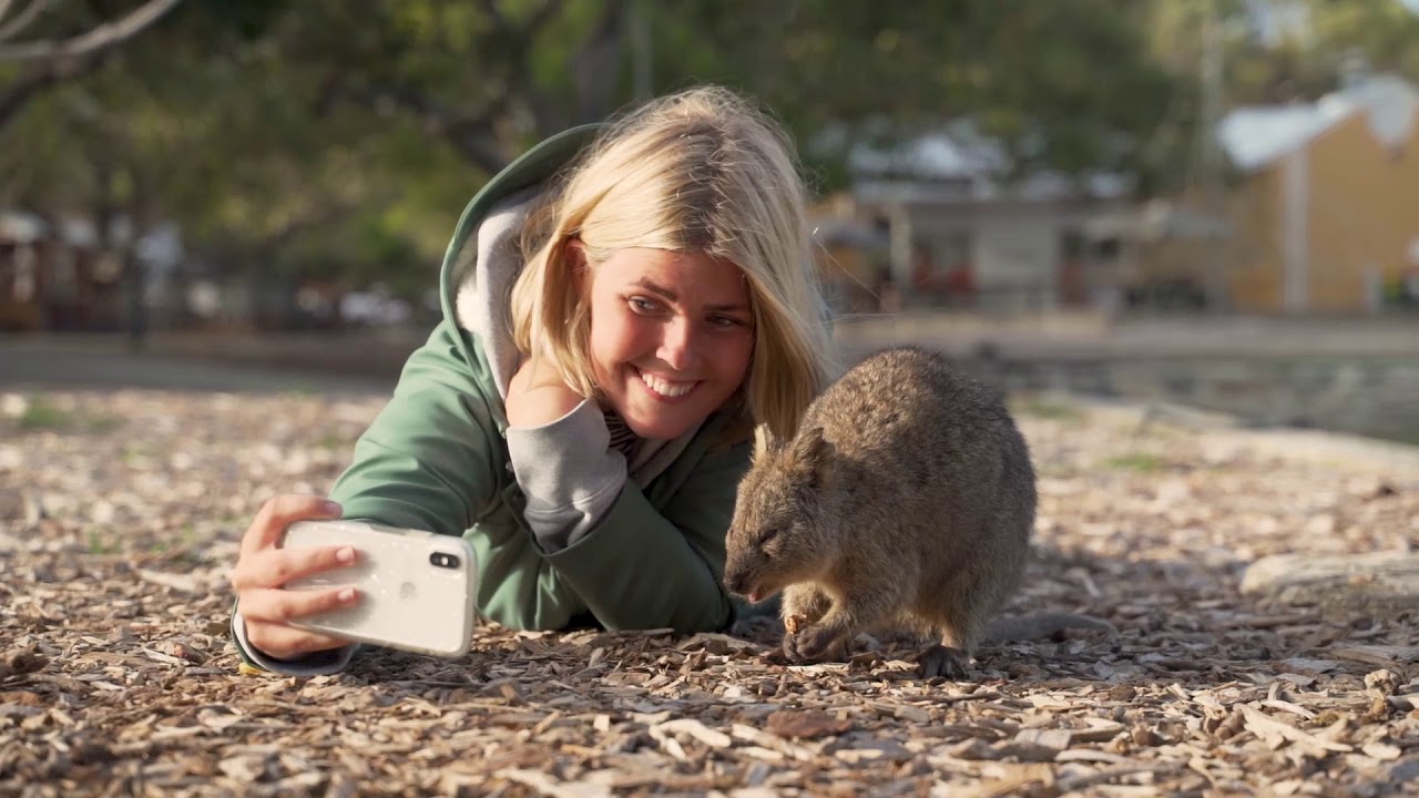 Rottnest Fast Ferries Perth by Grasshopper Travel