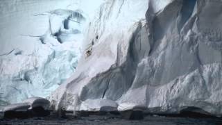 VIMFF 2014 Trailer