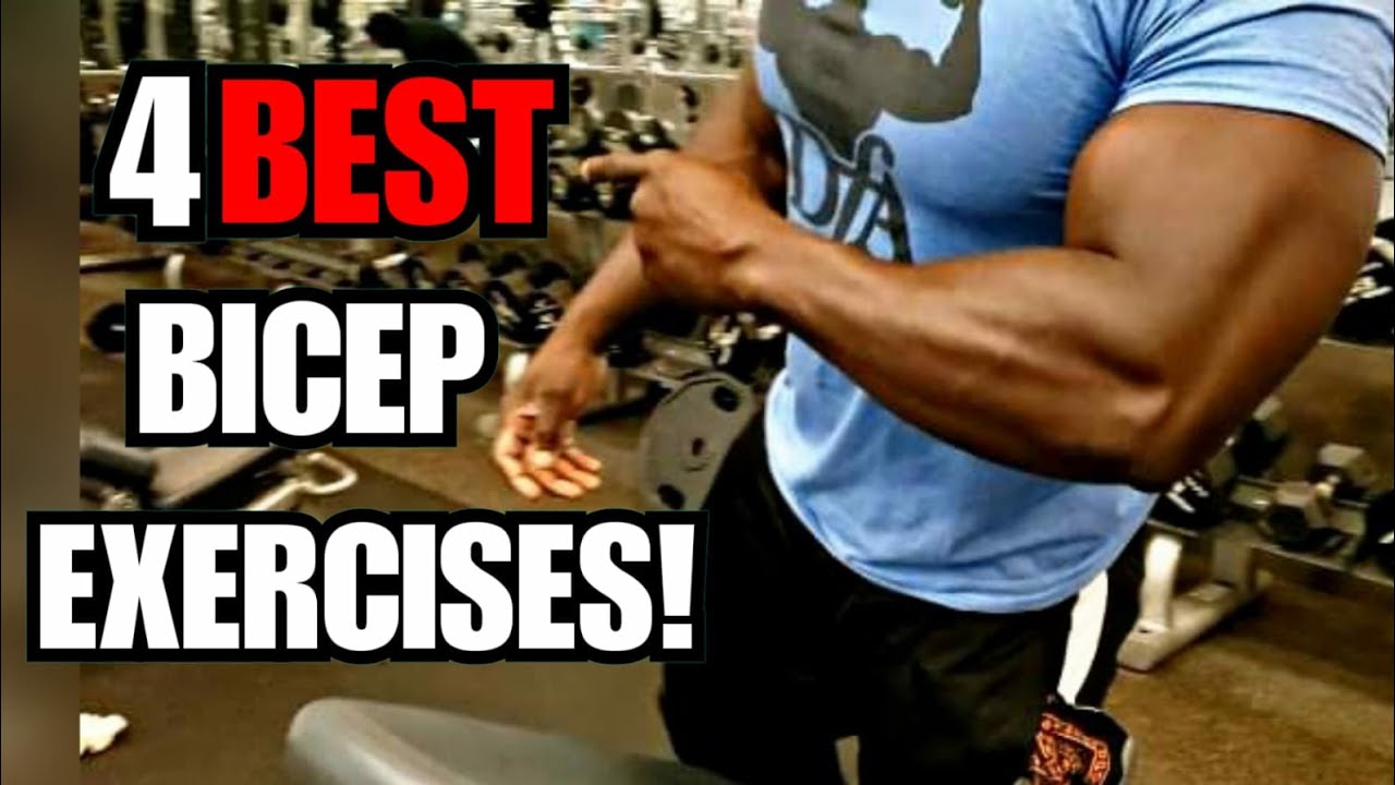 4 Bicep Exercises For Massive Arms (DON'T SKIP THESE!!!) - YouTube