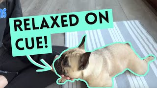 How to Teach Your Dog The Place Command | French Bulldog Training