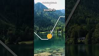 Breathing to Lower Heart Rate (4-2-8-2) breathingexercises breathing relaxing