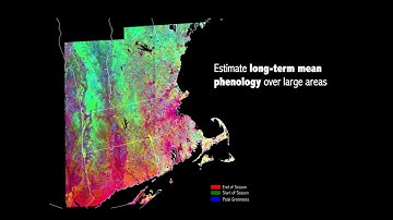 Use of Landsat time series for large scale mapping of invasive species distribution