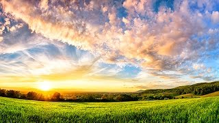 6 Hour Ambient Soundscape: Relaxing Nature Summer Sounds - An English Country Meadow