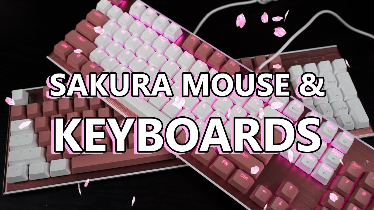 Sakura all over the place with Cooler Master! - YouTube