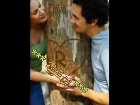 المس ايديا مصطفى قمر ابن قلقيلية