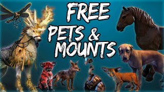 FREE PETS & MOUNTS in Elder Scrolls Online (ESO Guide) screenshot 3