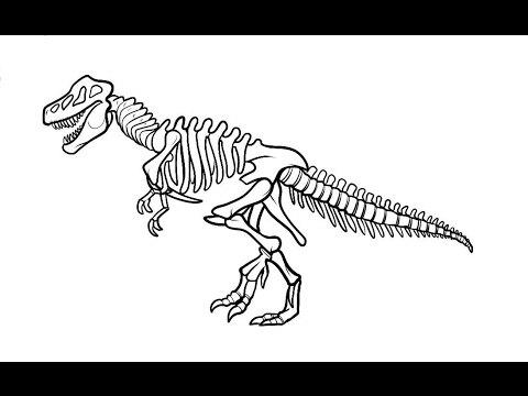 how to draw Dinosaur T rex skeleton step by step - YouTube