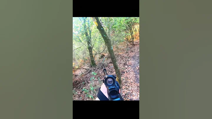 потрясающий снимок охоты на дикого кабана #wildboar#challenge#chasse#chase#hunting#sanglier