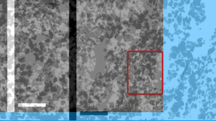 1EF4B76BB892AFC352C7238F2F458B#1