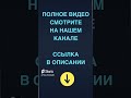 Вам снился сон от Бога ? Почему Вы  так в этом  уверены?