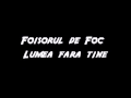 Foisorul de Foc - Lumea fara tine