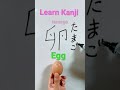 Learn kanji "卵(たまご)tamago" egg!!