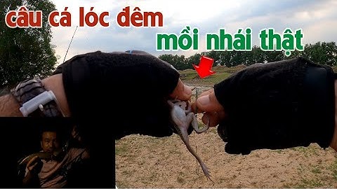 Câu Lure Cá Lóc ✅ Câu Cá Lóc Đêm Mồi Nhái Thật Và Cái Kết | Tâm Râu Vlog #216