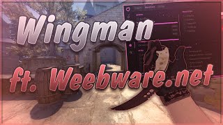 The CSGO Wingman Experience (Weebware.net Beta ft. NoHyper)