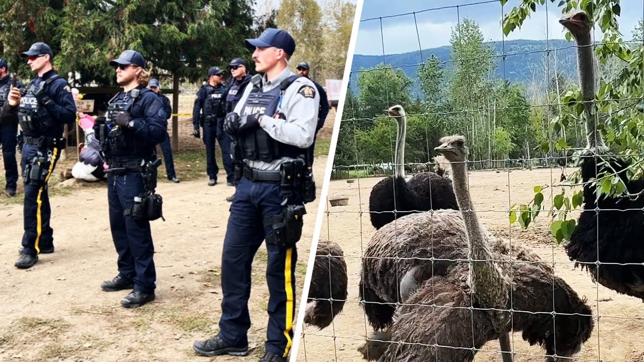 Police tactical team spotted near ostrich farm as supporters pray for 'miracle'