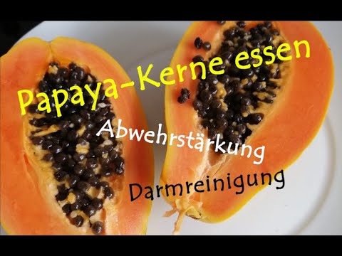 Video: Melonenbaum - Nutzen Und Verwendung Des Melonenbaums