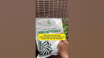 Cách Dùng Trichoderma Đúng Chuẩn | Nấm Đối Kháng GEGA Hiệu Quả Tối Đa!