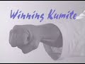 Winning Kumite  - Keith Geyer