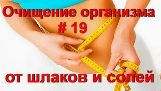 Очищение организма от шлаков и токсинов. Оздоровление и омоложение для здоровья - № 19 / ed black Очищение организма от шлаков и токсинов. Оздоровление и омоложение для здоровья - № 19 / ed black