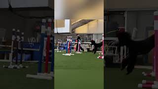 Working jump grid