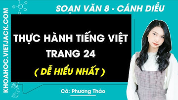 Soạn bài Thực hành tiếng Việt trang 24, 25 | Ngữ văn 8 Cánh diều | Bài 1 (DỄ HIỂU NHẤT)