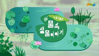 [교육]물속 생물이야기-수생식물편