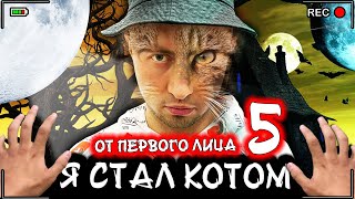 От первого лица: Я СТАЛ КОТОМ 5 - ВЕСЬ СЕРИАЛ по мотивам Я БЕЗДОМНЫЙ КОТЕНОК