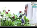 قصيده لحب الامام علي بن ابي طالب الشاعر ابو محمد المياحي كل عام وشيعة العالم بكل خير