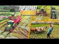 Top depart plantade