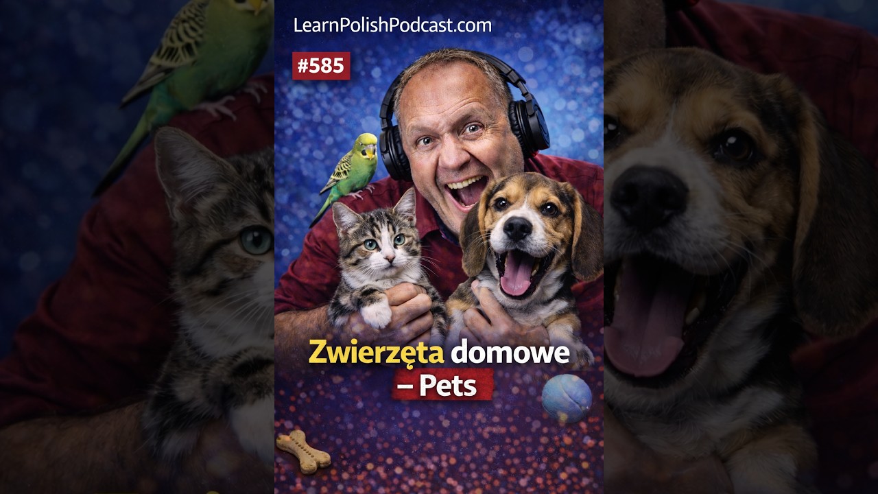 #585 wierzęta domowe - Pets | @learnpolish