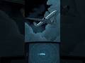 Flight MH370 The Vanishing