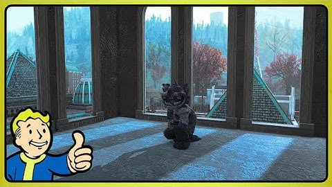 Fallout 76 Daily Challenge Guide for August 8, 2024.