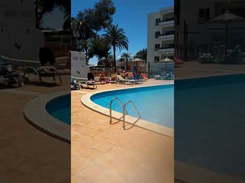 Majorca Alcudia Bellevue Bonita Swimming Pool Jet 2 Wicked You Majorca Alcudia Bellevue Bonita Swimming Pool Jet 2 Wicked