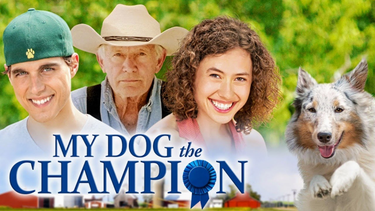 Мой пёс-чемпион | Её собака — её единственный шанс спасти ранчо | Семейный, Комедия