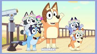 Bluey The Sign Socks Talking