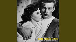 Theme from &#39;Rebel Without a Cause&#39; (The Chapman Report Bonus Track)