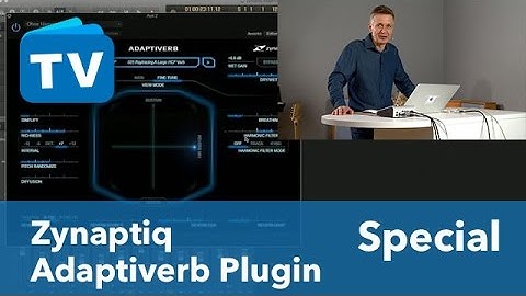 Zynaptiq Adaptiverb Plug in - viel Hall wenig Matsch