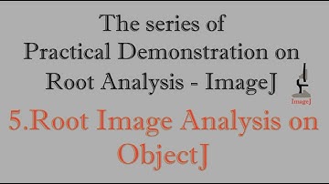 Practical Demonstration on Root Analysis - 5. Root Image Analysis on ObjectJ