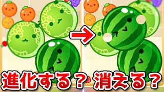 What happens if you make two watermelons? 【Suika Game】 screenshot 4