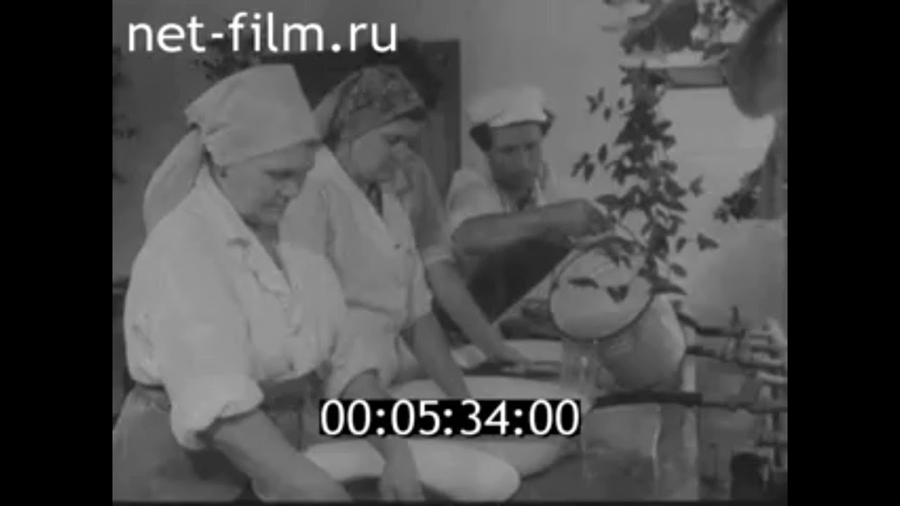 1977г. Разведение белорыбицы и осетровых на рыбзаводах. Астрахань