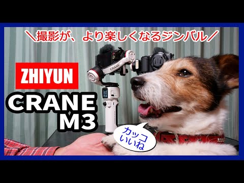 軽くて最強!?GIMBAL Zhiyun CRANE M3を購入したので、テスト撮影してきました