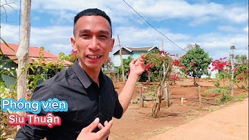 Review ngôi nhà truyền thống của người jrai theo phòng cách của thời đại  phóng viên Siu Thuận 🤣🤣👉🤪