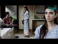 Behan Bhai Ka Khatarnak Plan - Roshni Khatray Mai | Rahguzar | Hira Mani - Mohib Mirza | Green TV