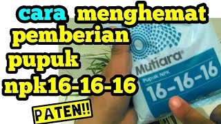 Cara menghemat pemberian pupuk npk16-16-16