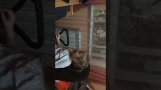 Поздравление Веры Ящук от Деда Мороза