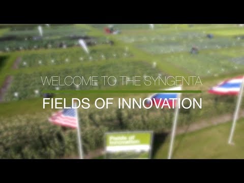 Welcome to the Syngenta Fields of Innovation