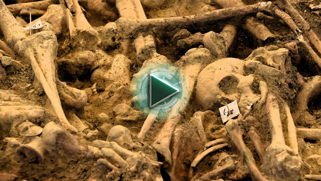 Mohács titkai – arcok a tömegsírból