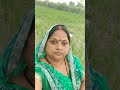 खेती मेरे आधार@मेरे लिए सब कुछ है@🌾🌾