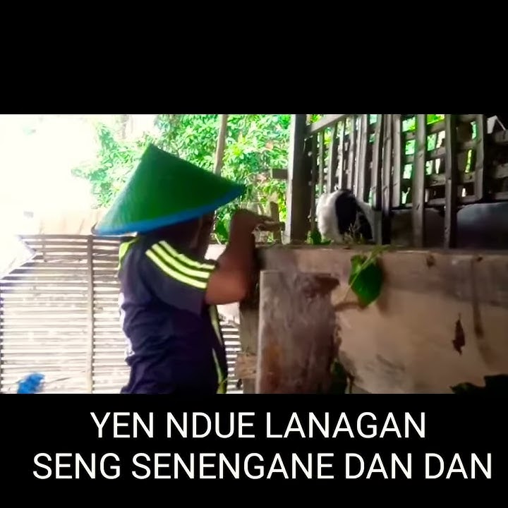 Wong lanang ki rasah wedi ireng || FAZRIL MUHAMMAD👍