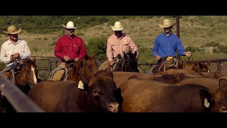 The Story Behind R.A. Brown Ranch in Texas: Raising the Best Profile